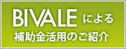 BIVALE�ɂ��⏕�����p�̂��Љ�