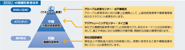 BSBUの階層別教育体系