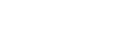 n100[g̓Ɉ꒼I