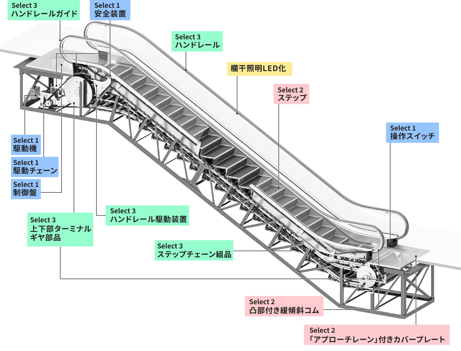 主な更新部位