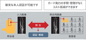 「指のみ」の認証のイメージ